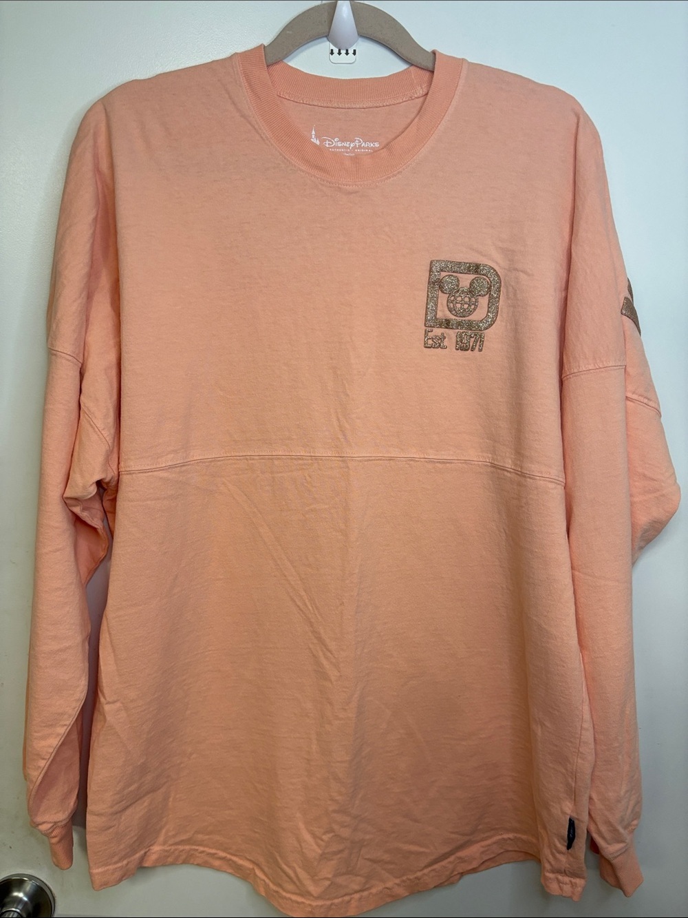 DISNEY PARKS SPIRIT JERSEY LONG SLEEVE WOMEN!
